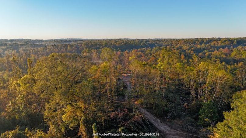 Claiborne Co-151-Geronimo-10