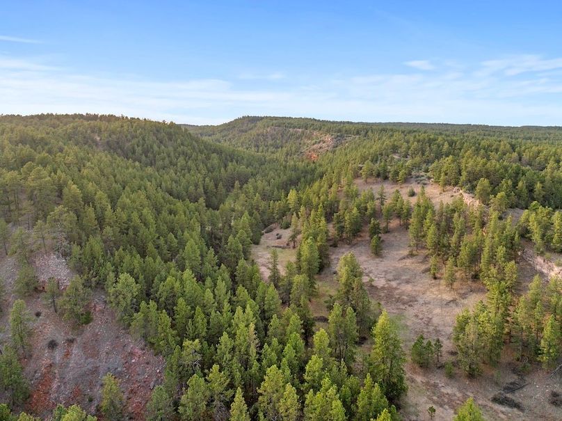 21-DJI_20250507185106_0770_D