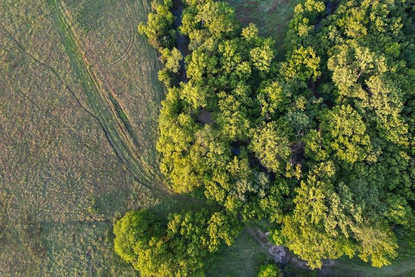 DJI_0596