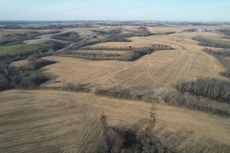 DJI_0005