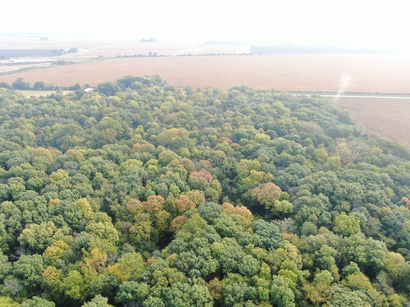 DJI_0847