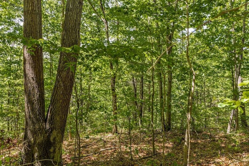 45-web-or-mls-Rabe Coats-26