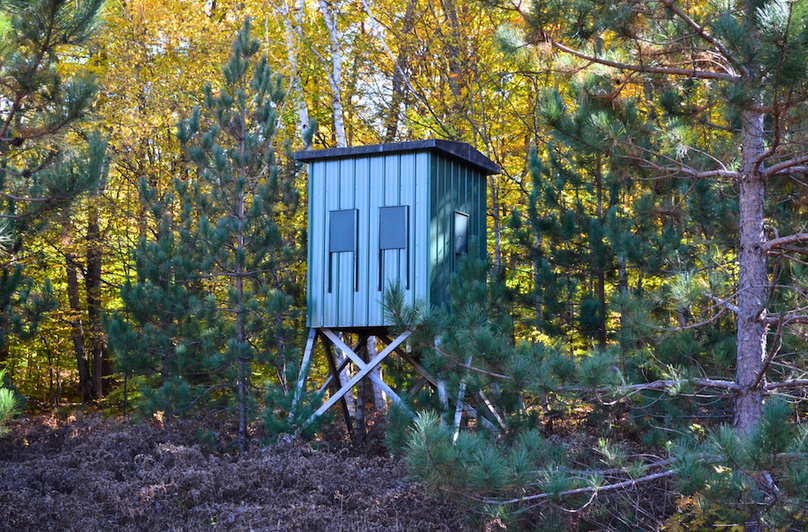 Screenshot 2025-11-11 at 12.13.00 PM