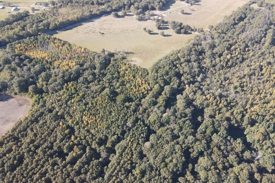 dji_fly_20241017_161316_349_1729199618338_photo 2