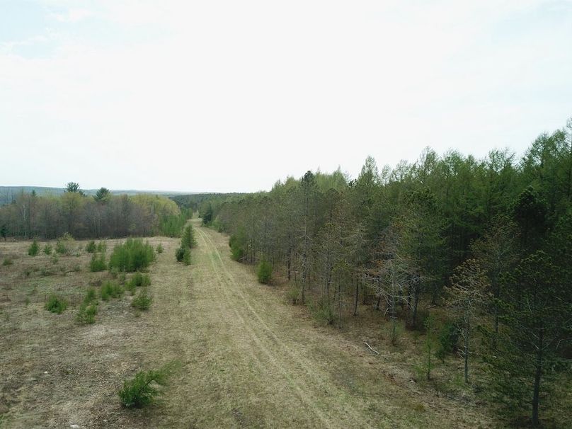 DJI_0031