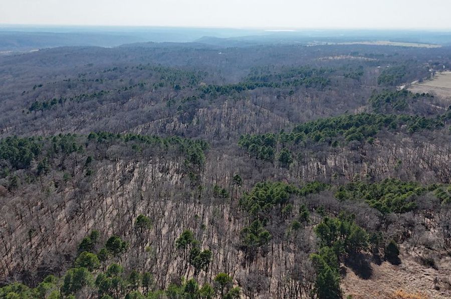 DJI_20240307150835_0067_D