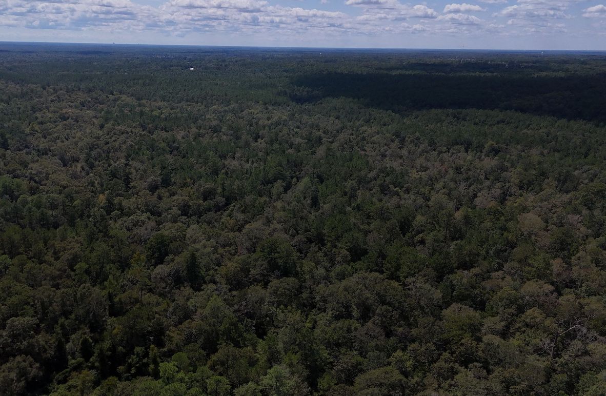 Copy of DJI_20230927125012_0009_D