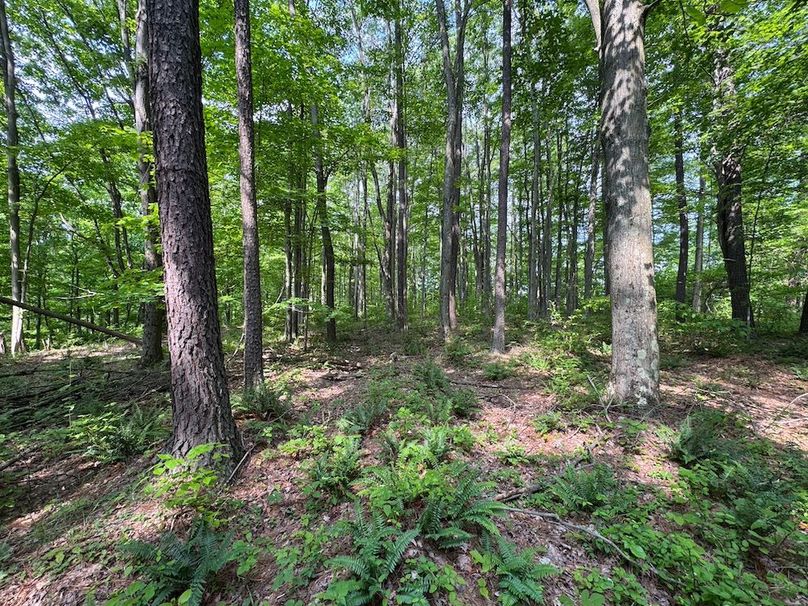Pleasants, WV 168.59 AC Superior, Swank, Young-064