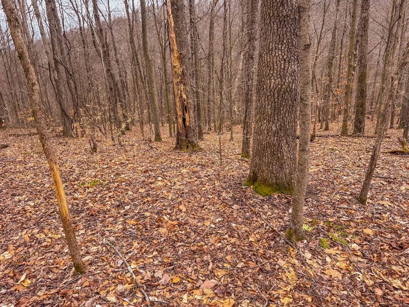 Tyler, WV 90 AC Burkhart-46