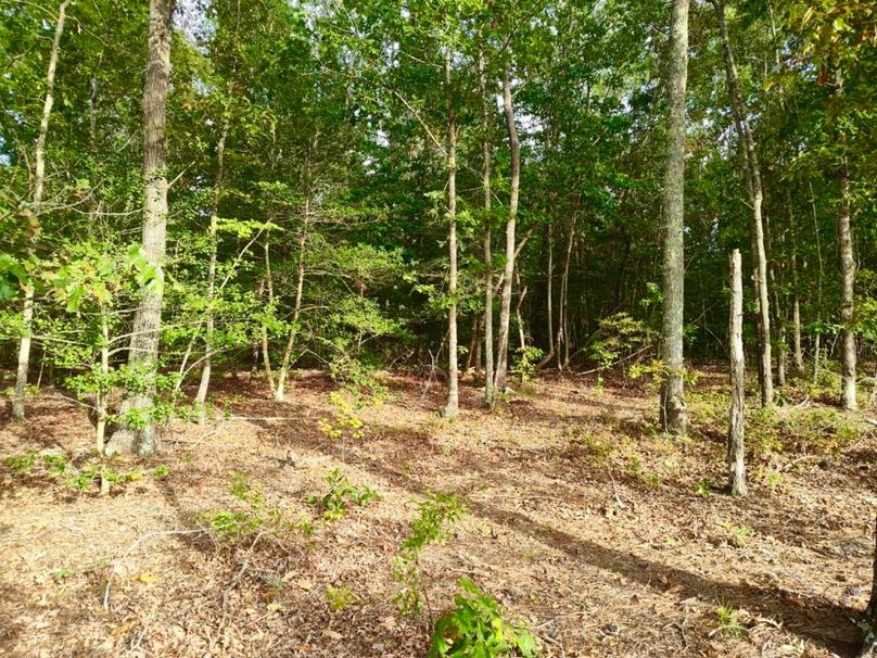 IMG_20250914_171952983