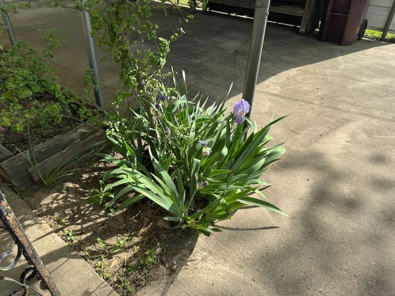 Phillips .5 Stokes -71