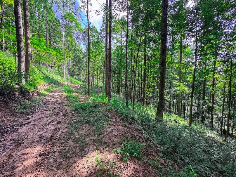 Lewis, WV 105 AC Miller-67