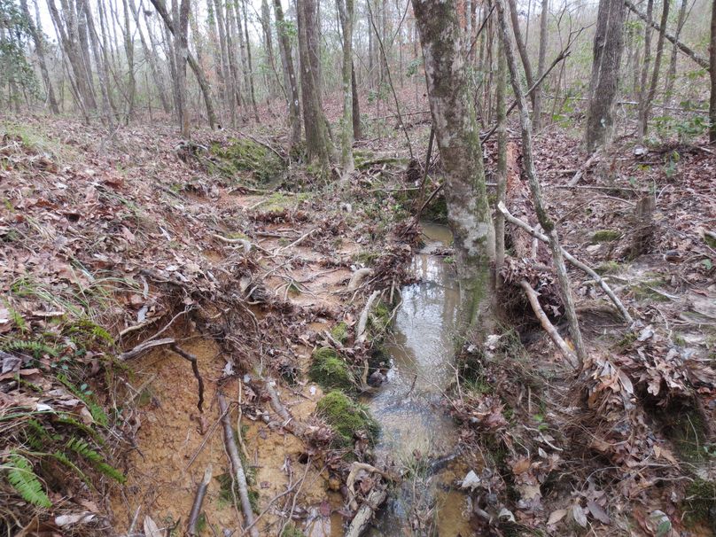 AA8519C2-65A1-41E9-8609-F45BD10AD01B