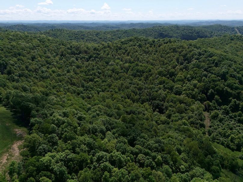 DJI_20250515092407_0270_D