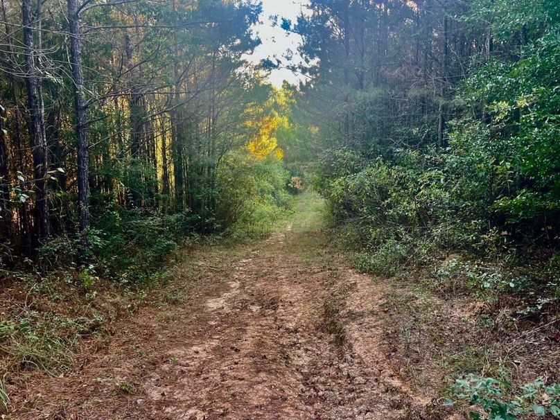 47CFF621-80EE-485A-A4E1-B090902B24FB_1_201_a