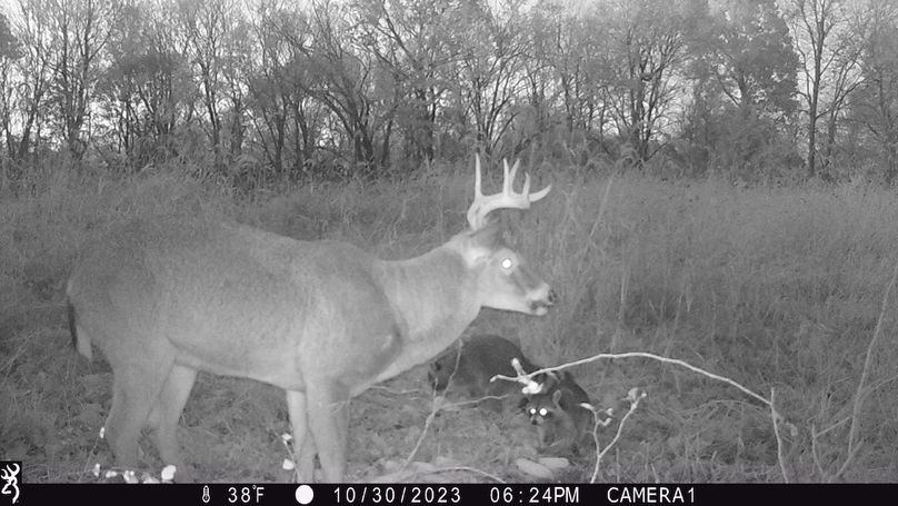 trail cam30