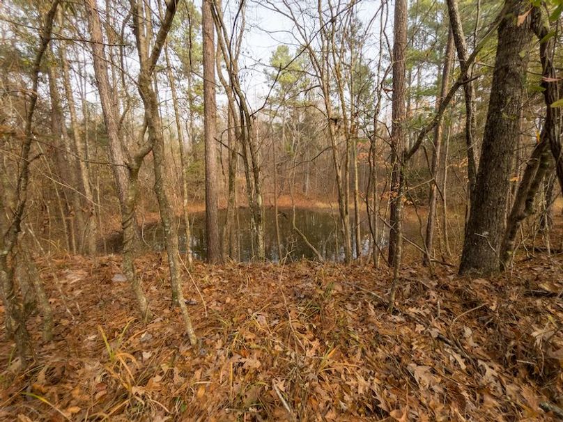 Claiborne Co - 274 - Marian-017