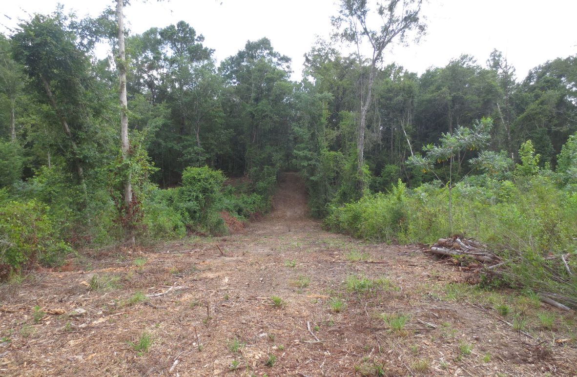 1DA86BBD-48E4-4CF9-822B-E959C8EC4184