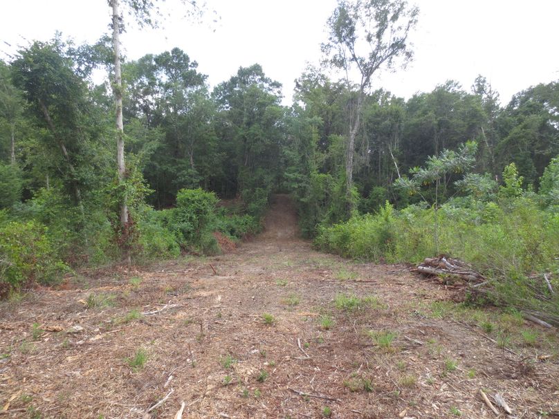 1DA86BBD-48E4-4CF9-822B-E959C8EC4184