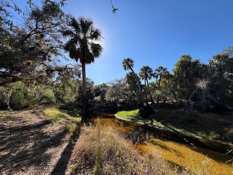 D316B5E8-BD38-46AF-A4DC-16A4F44532E1_1_105_c