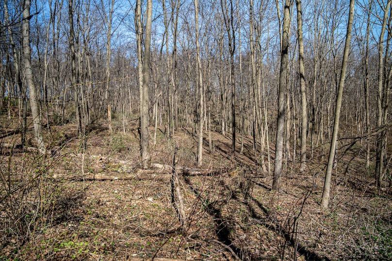 Jo Daviess IL 23.5_19