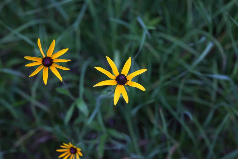 Mackinac20Fewins-6112