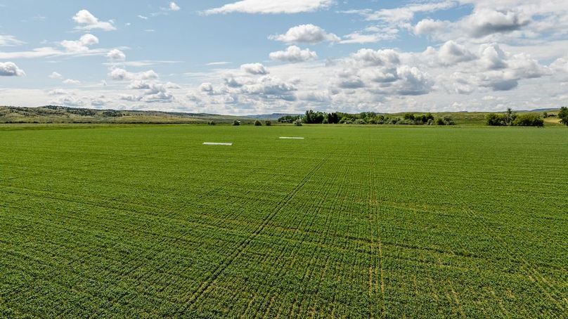 026_dji_20250603105649_0754_d_814