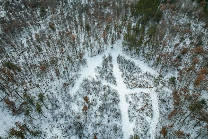 Adams 263.17, Hale -66