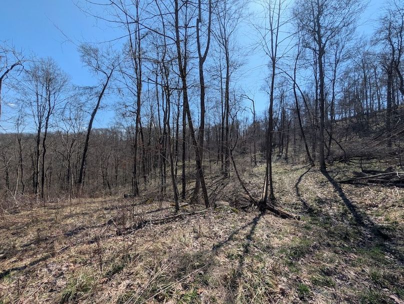 PXL_20260326_170435259