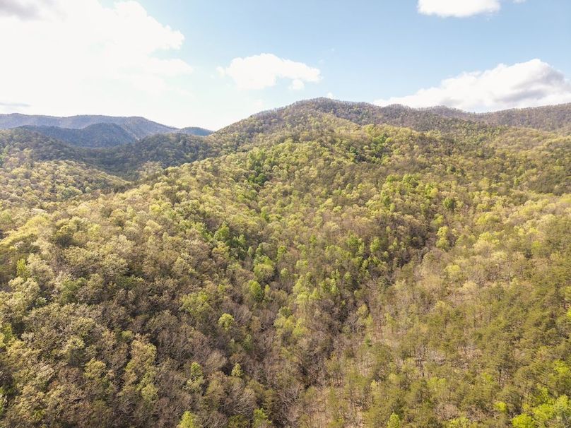 DJI_20260422162924_0169_D