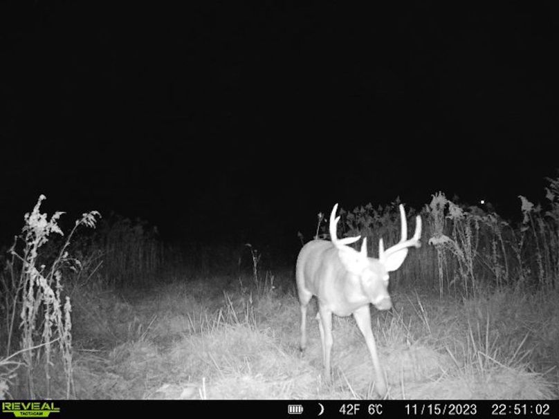 860322065128164-1-4-11152023225102-V-W1005758