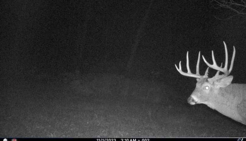 TRAIL CAM 27