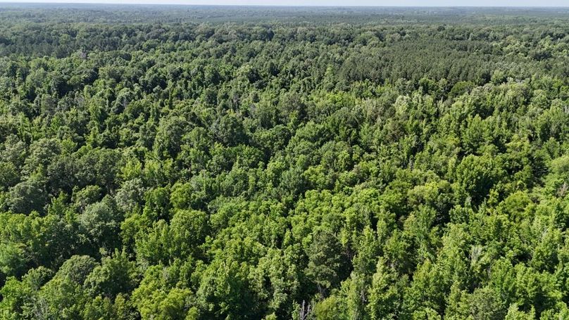 dji_fly_20250526_045604_0035_1748267962995_photo