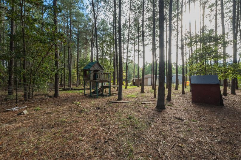 20602 Reese Rd (10.17)-51