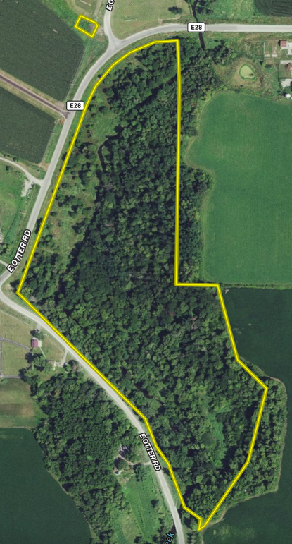 Screenshot 2024-09-24 at 9.12.38 AM