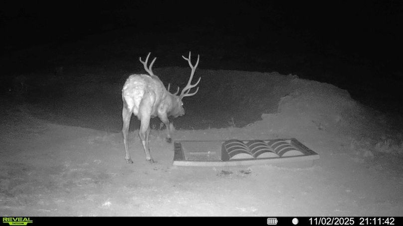 016578004267347-100-3-11032025154212-HD-SYFW00447