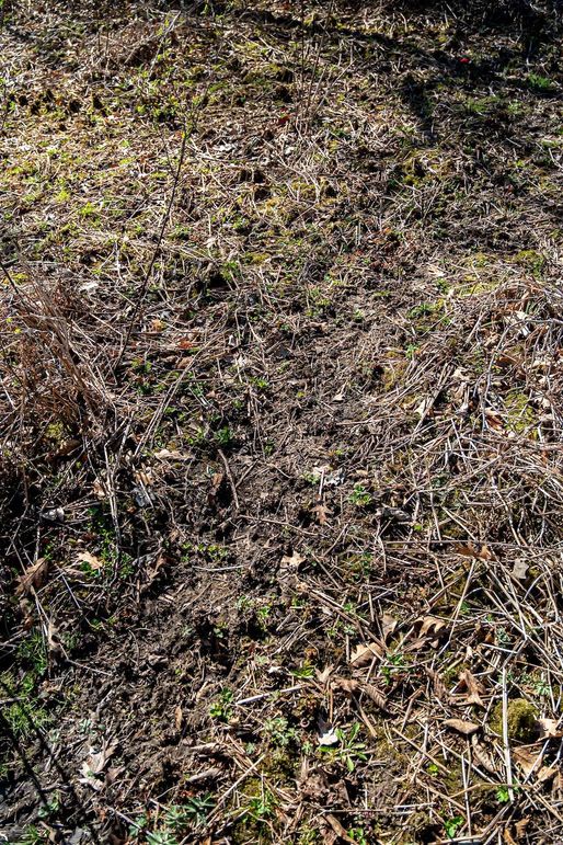 Jo Daviess IL 23.5_17