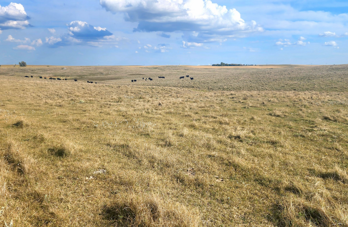 Screenshot 2026-02-02 at 2.36.05 PM