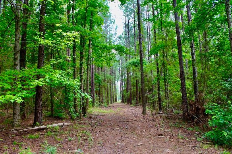 4F658CB8-A970-4E65-B689-712A440037B5_1_105_c