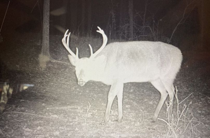 Hinds Co - 53.51 - MT Beasley-21