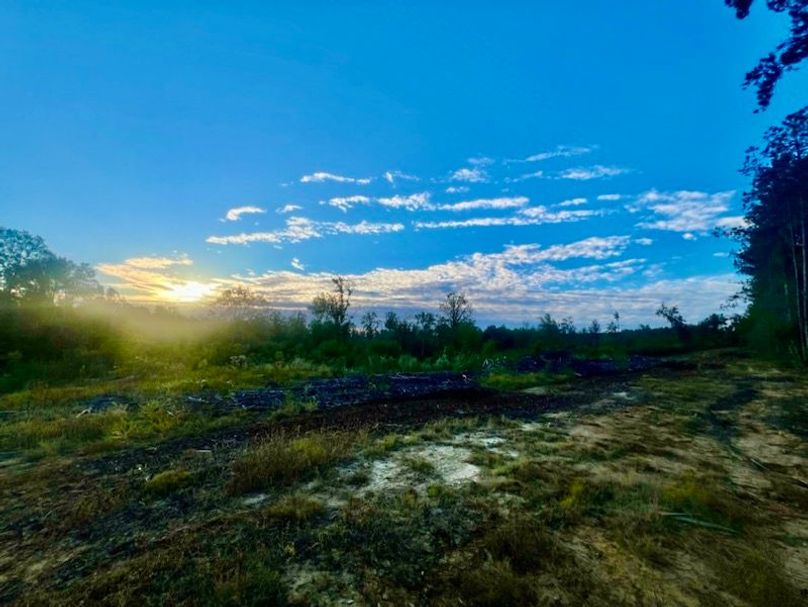 5F803989-2751-4722-8E69-AA5746E8E24D_1_105_c