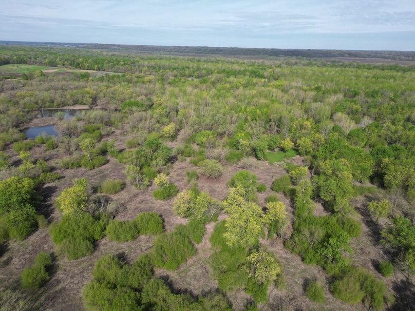 DJI_0264