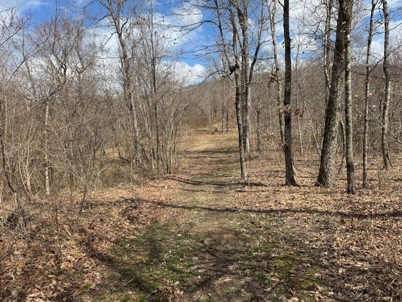 stone8020260306_0085