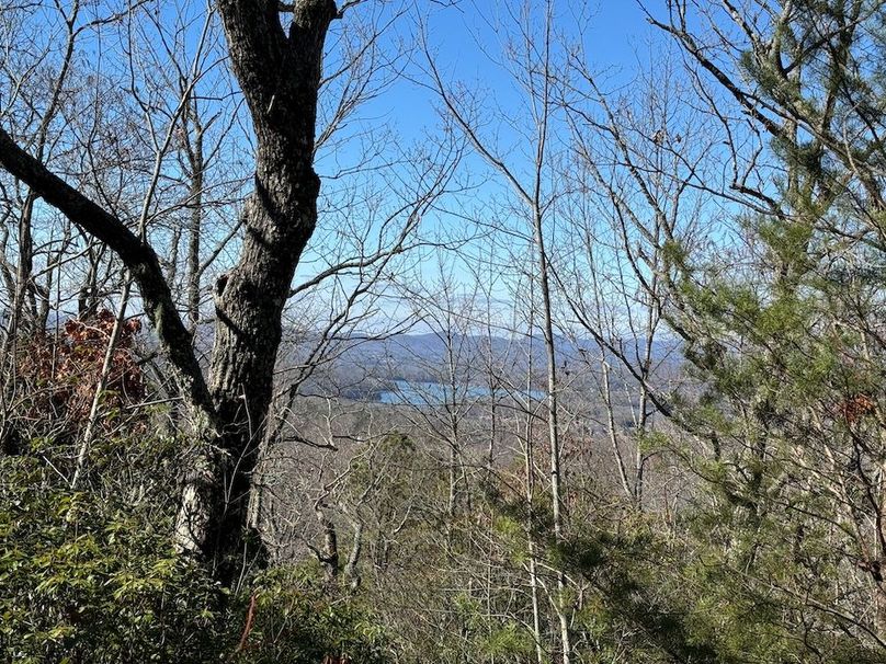 029 Clay 124.76 Fleaback-16