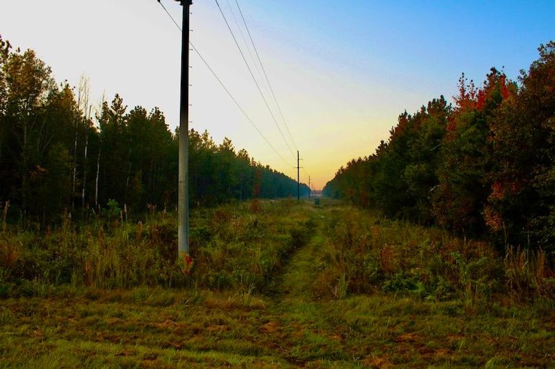 3561FF54-9FBB-4713-BBE9-4064B3AFB5F1_1_201_a