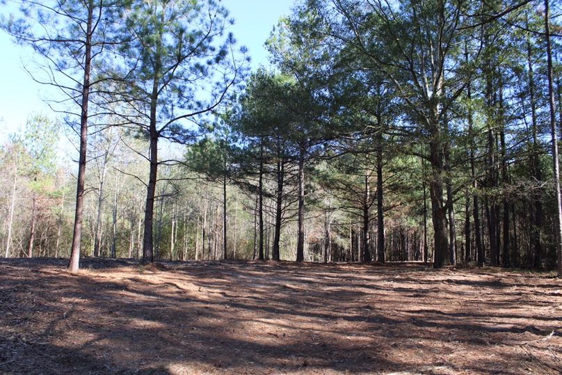 4DD92B62-B3BA-4121-ADA0-FEB4BFDADE71_1_105_c