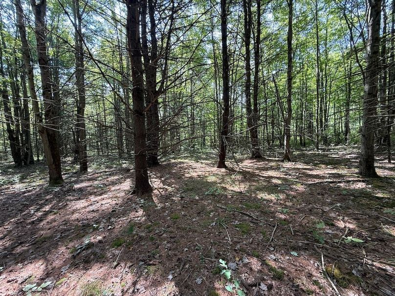 Chemung_20.82_Meyers Photo 17