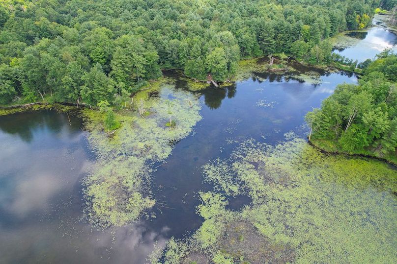 Oswego_20_Eck Photo 28