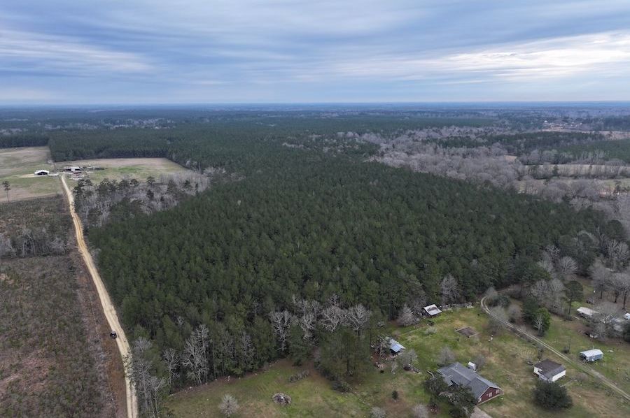 5 dji_fly_20250303_075516_0003_1741021882525_photo