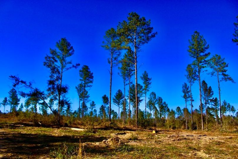 532BD7BF-7533-4546-BF9C-E99FD99C434E_1_201_a